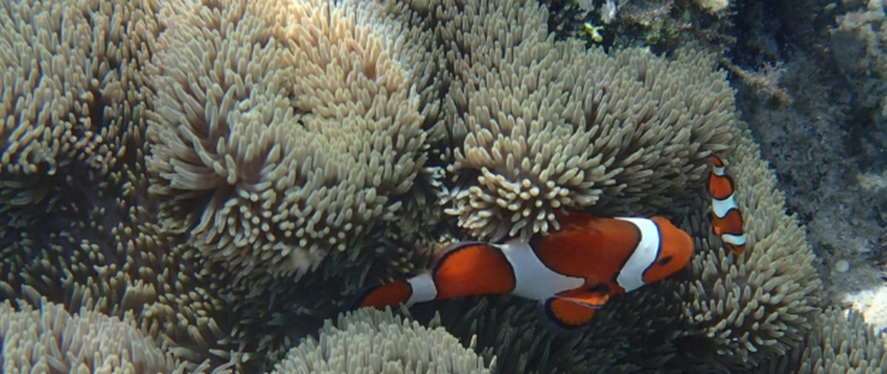 �p�[�t�F�N�g���сb�������ߒE�уA�C�e���I�y�v���~�A�������[�o�[�~���N�z
���T�C�g